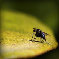 /album/trabajo-colaboratio-03/photolia-a07-jpg/